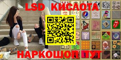 крисы Новодвинск