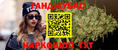 крисы Новодвинск