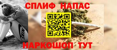 крисы Новодвинск
