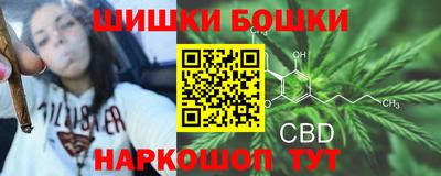крисы Новодвинск