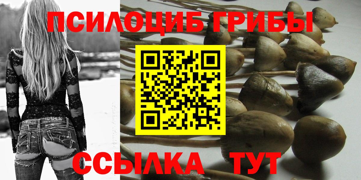 Белгород  купить закладку  Вход с VPN  Галлюциногенные грибы GOLDEN TEACHER 